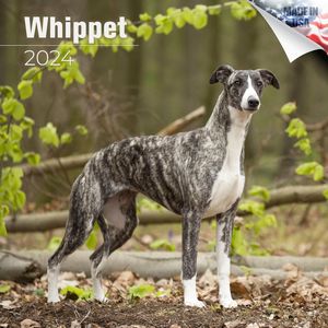 Whippet 2024 Calendar