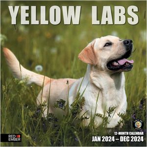 Yellow Labs 2024 Calendar