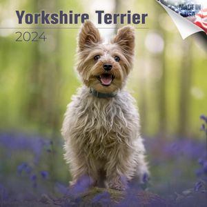 Yorkshire Terrier 2024 Calendar
