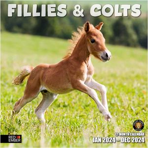 Fillies & Colts 2024 Calendar