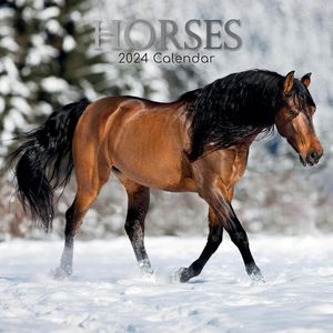 2024 Horse Calendars
