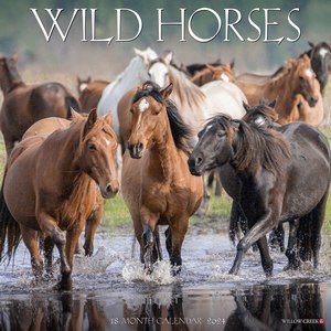 Wild Horses 2024 Calendar