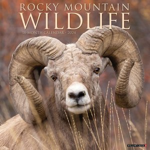 Rocky Mountain Wildlife 2024 Wall Calendar