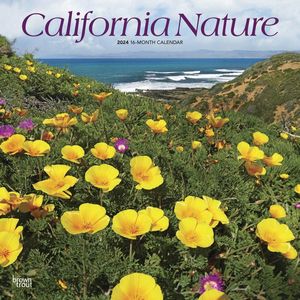 California Nature 2024 Wall Calendar