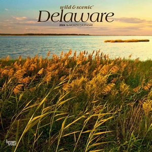 Delaware 2024 Calendar
