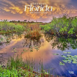 Wild & Scenic Florida 2024 Wall Calendar