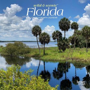 Wild & Scenic Florida 2024 Mini Wall Calendar