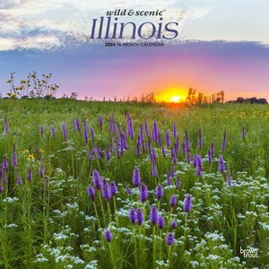 Illinois 2024 Calendar