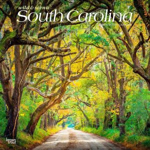 South Carolina 2024 Wall Calendar