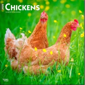 Chickens 2025 Calendar