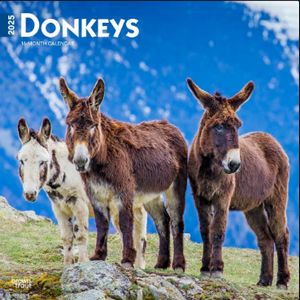 Donkeys 2025 Calendars