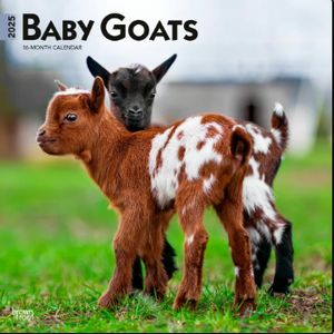 Goats 2025 Calendar