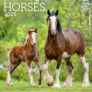 Horses 2025 Wall Calendar
