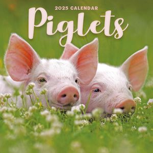 Pigs 2025 Calendars