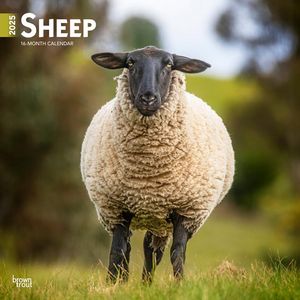 Sheep 2025 Calendars