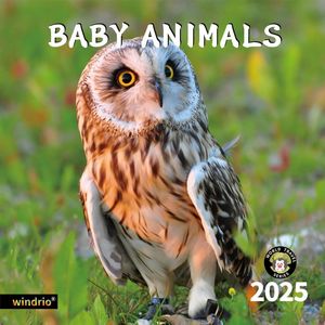 Baby Animals 2025 Calendar