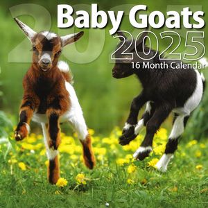Baby Goats 2025 Calendar