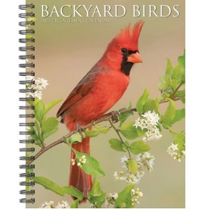 Backyard Birds 2025 Engagement Planner