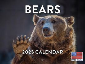 Bears 2025 Calendar