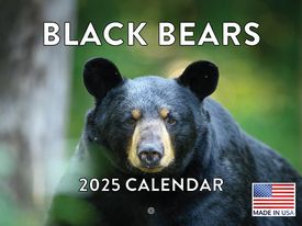 Black Bears 2025 Calendar