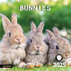Bunnies 2025 Calendar