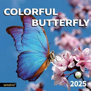 Colorful Butterfly 2025 Calendar