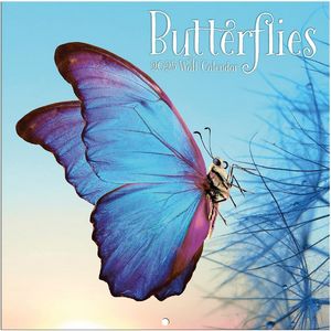 Butterflies 2025 Calendar