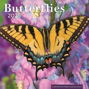 Butterflies 2025 Calendar
