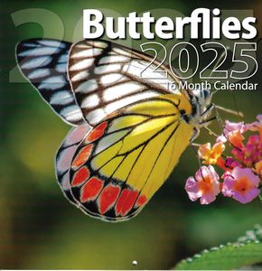 Butterflies 2025 Calendars