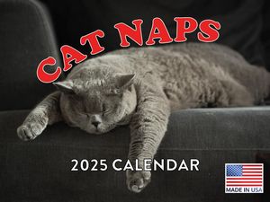 Cat Naps 2025 Calendar