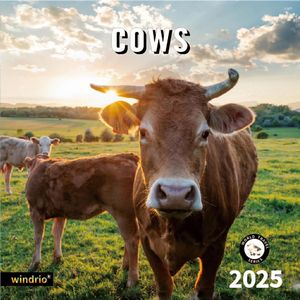 Cows 2025 Calendar