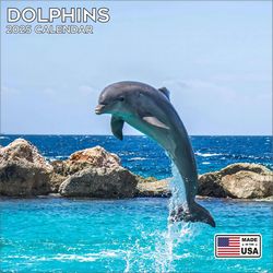 Dolphins 2025 Calendar