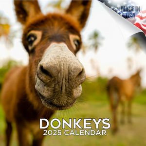 Donkeys 2025 Calendar