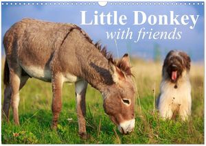 Little Donkey with friends 2025 Calendar