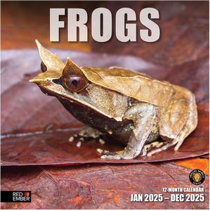 Frogs 2025 Calendar