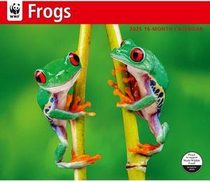 Frogs 2025 Calendar
