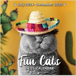 Fun Cats 2025 Calendar