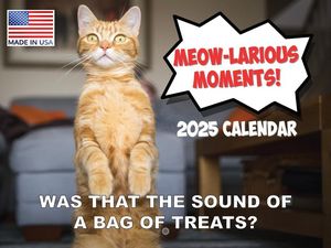 Funny Cats 2025 Calendar