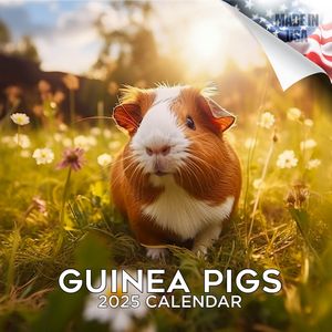 Guinea Pigs 2025 Calendar
