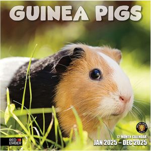 Guinea Pigs 2025 Calendar