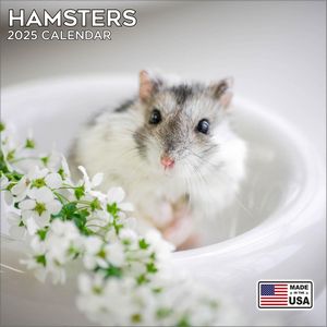Hamsters 2025 Calendar