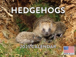 Hedgehogs 2025 Calendar