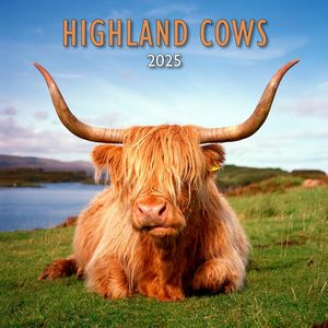 Highland Cows 2025 Calendar