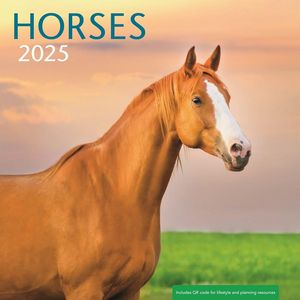 Horses 2025 Calendar