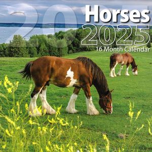Horses 2025 Calendar