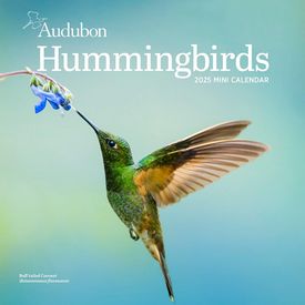 Hummingbirds 2025 Calendar