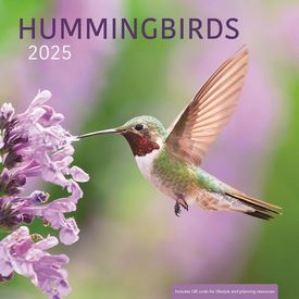 2025 Bird Calendars