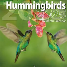 Hummingbirds 2025 Calendar