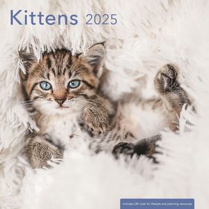 Kittens 2025 Calendar