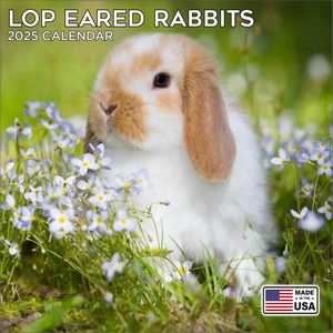 Lop Eared Rabbits 2025 Calendar